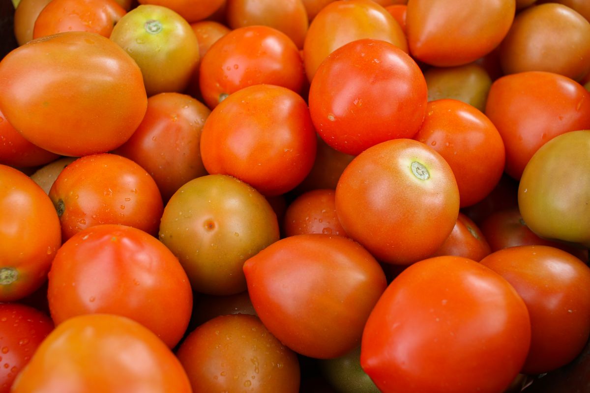 Tomates